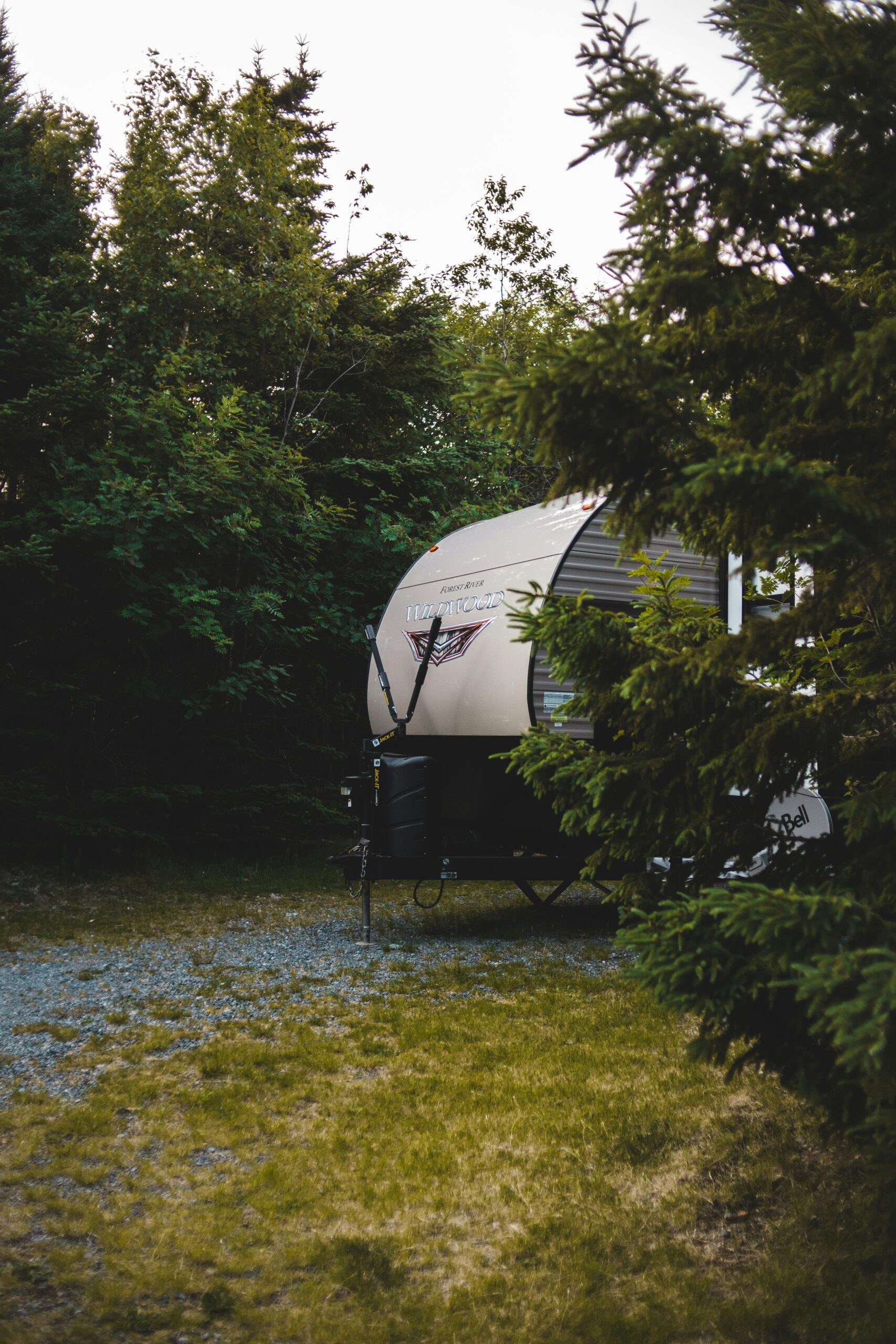 pexels-photo-8786497-8786497 A modern trailer nestled in a tranquil forest setting, ideal for adventurous camping experiences.